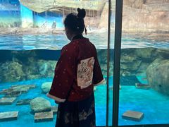 -海合安武汉极地海洋公园