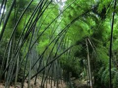 -会稽山峡洞漂流-上青古道