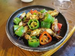 脆脆小墨鱼-园林美食城·本土农家菜(杨和镇店)