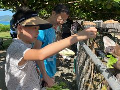 -三亚亚龙湾天域度假酒店
