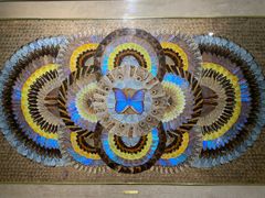 -上海昆虫博物馆