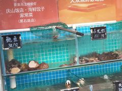 -北戴河庆山饭店·海鲜砂锅粥(北戴河黑石路店)