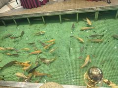 -金河半岛园林酒家(金融城店)