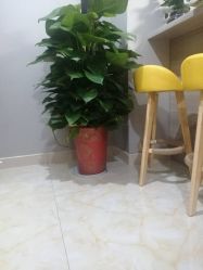 点击看大图 -Dr.林醫生产后修复·配方产康(南京江宁万达店)