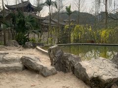 -重庆园博园