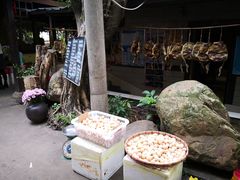 -园林美食城·本土农家菜(杨和镇店)