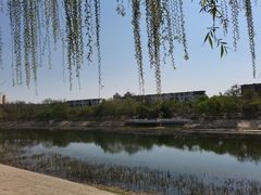 -桃花堤公园