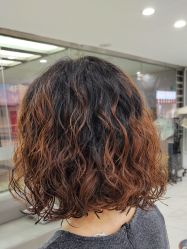 -镁连社·美联社