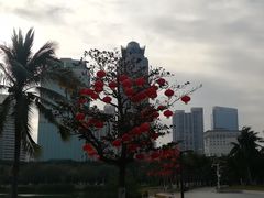 -万绿园
