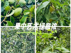 -太阳宫公园