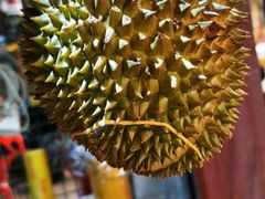 -三亚新鸿港水果一级批发市场