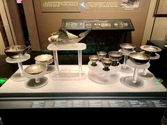 -广西壮族自治区博物馆