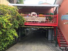 -热带雨林自然公园
