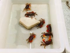 -王四营海鲜市场