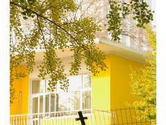 -三里屯东五街银杏大道