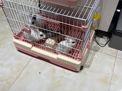 -乐宠宠物店(世纪金源店)