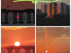 -宝安西湾红树林湿地公园