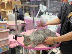 -FAELING PETS美天灵宠物(富力广场店)
