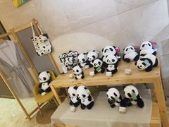 -成都明宇丽雅饭店