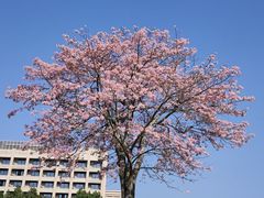 -风云岭森林公园