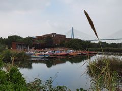 -芒洲湿地公园