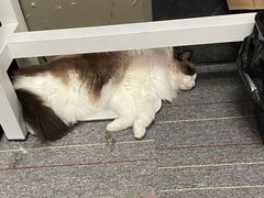 -零纪元VR体验馆·桌游(黄浦店)