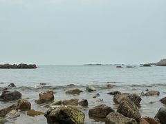 -小麦岛公园