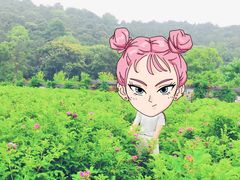 -龙寺生态园