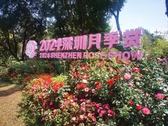 -人民公园(罗湖区)