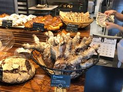 Pommier-Pain des Philosophes