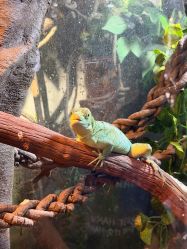-Zoolung Zoolung动物主题公园(海信广场店)