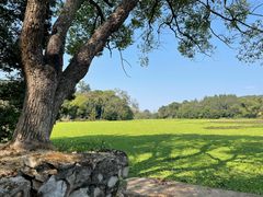 -南宁良凤江国家森林公园