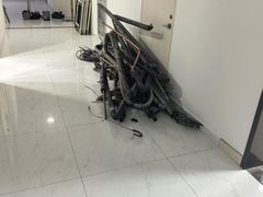 -嘉定紫藤园