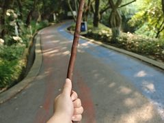 -翠屏公园