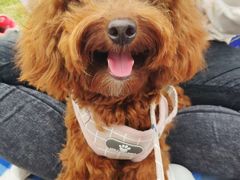 -春花秋色城市公园