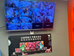 -宠物家(双井店)