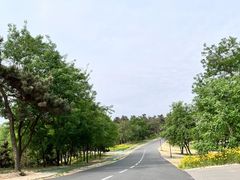 -东海森林温泉度假酒店