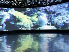 -同济大学四平路校区深海探索馆