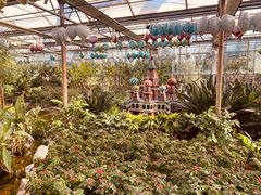 -南宫五洲植物乐园