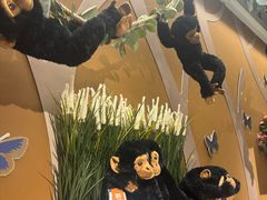 -宜家家居(宝山商场店)
