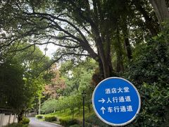 -东航云逸酒店(九溪烟树店)