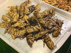 -席娜卡琳火车铁道夜市