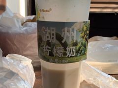 -猫的魔法密林(衣裳街店)