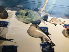 -烟台海昌鲸鲨海洋公园