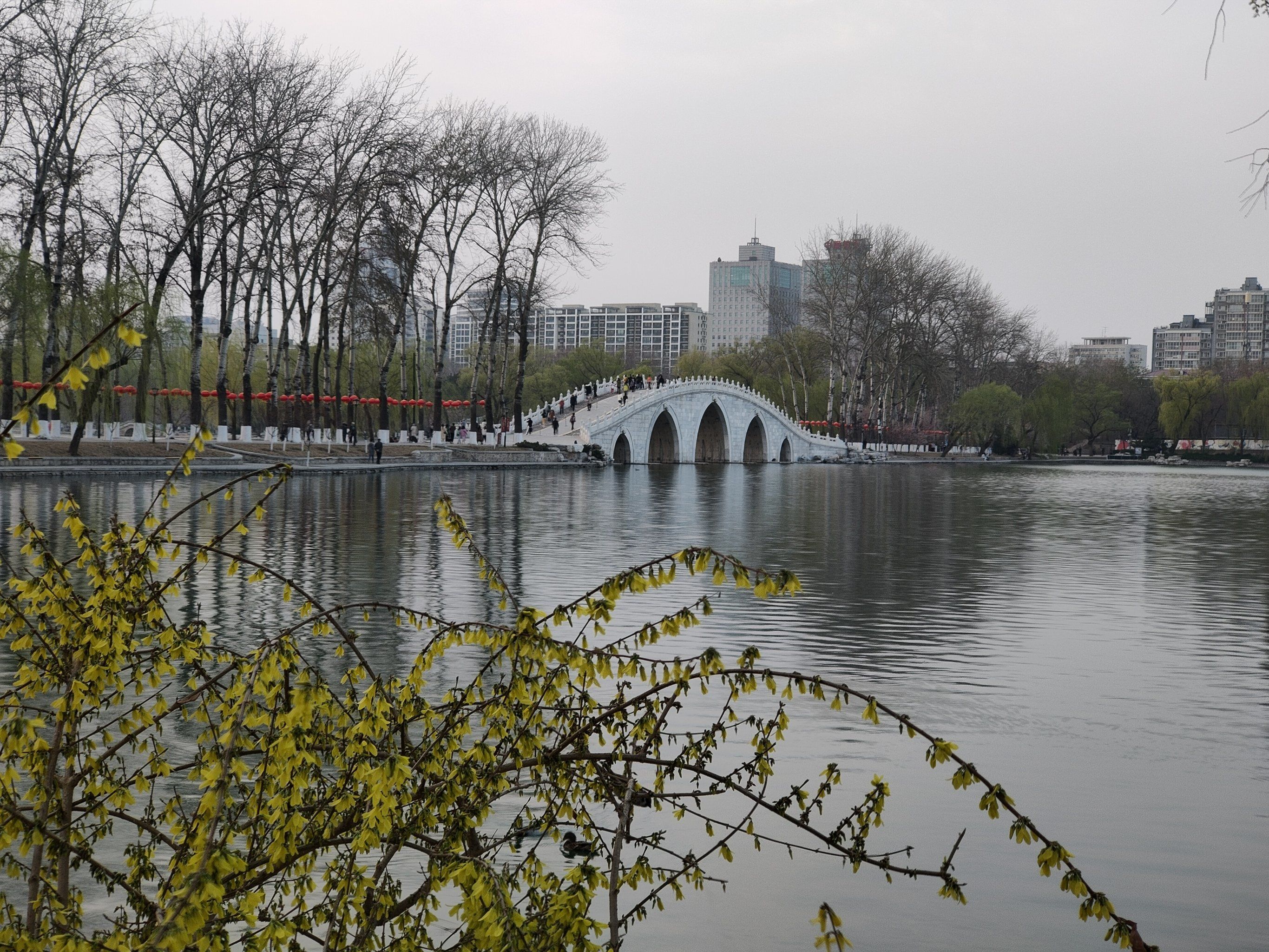 八一湖公园