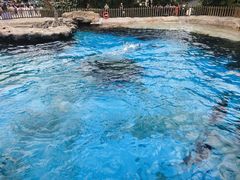 -珠海长隆海洋王国