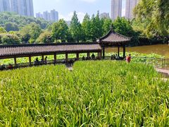 -龙头寺公园