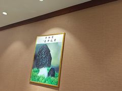 -菌之家·专业纯野生菌火锅·特色炒菌