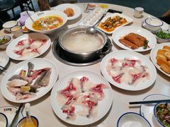 -港升鱼师傅·中山脆肉鲩