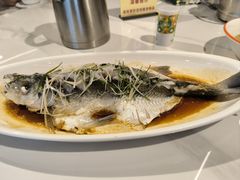 -醉美东江·三文鱼·烧鸡公